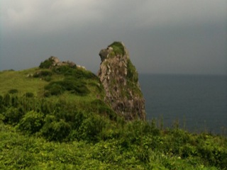 IMG_4331.jpg