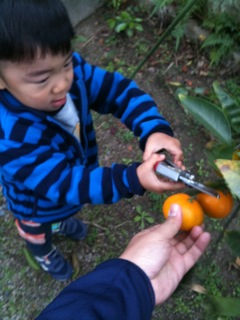 image-20101128160531.png